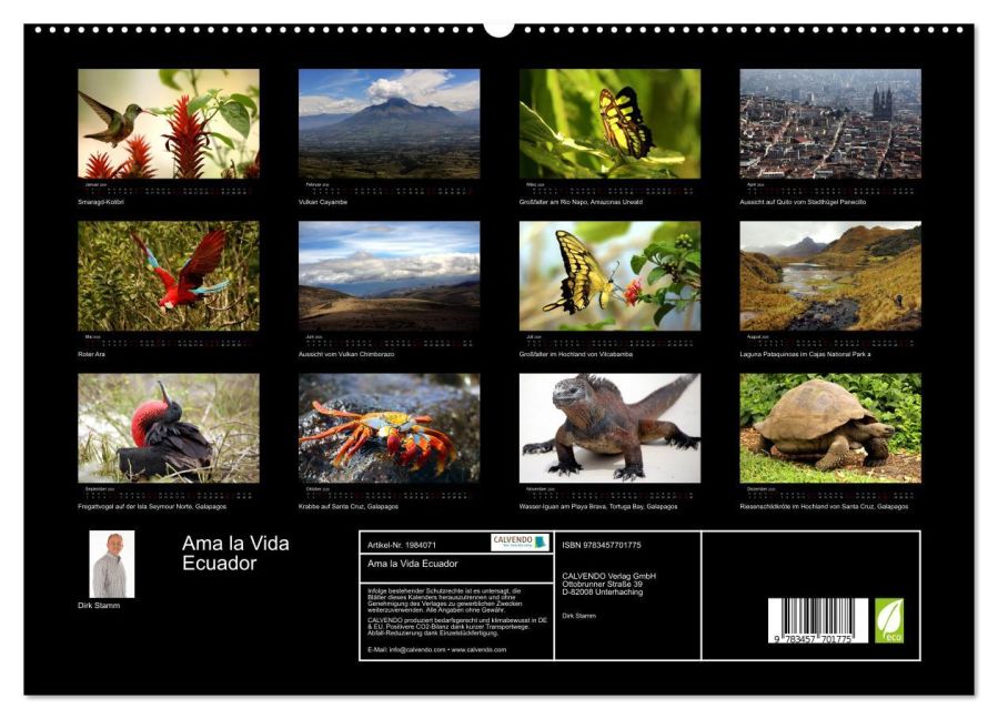 InsideView 4