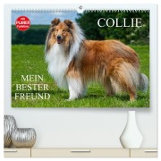 Cover-Bild zum Titel 'Collie - Mein bester Freund (hochwertiger Premium Wandkalender 2026 DIN A2 quer), Kunstdruck in Hochglanz' von 'Sigrid Starick'