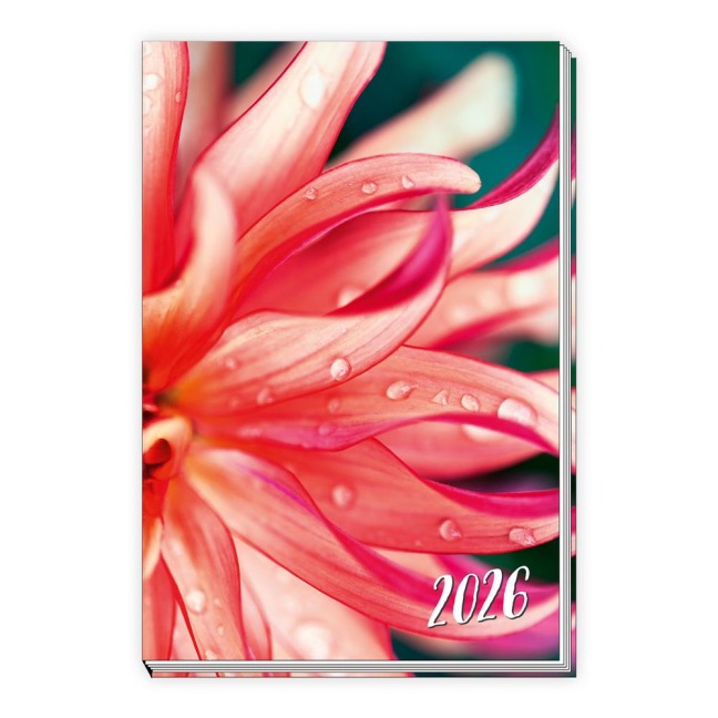 Trötsch Taschenkalender A6 Flowers 2026 - 