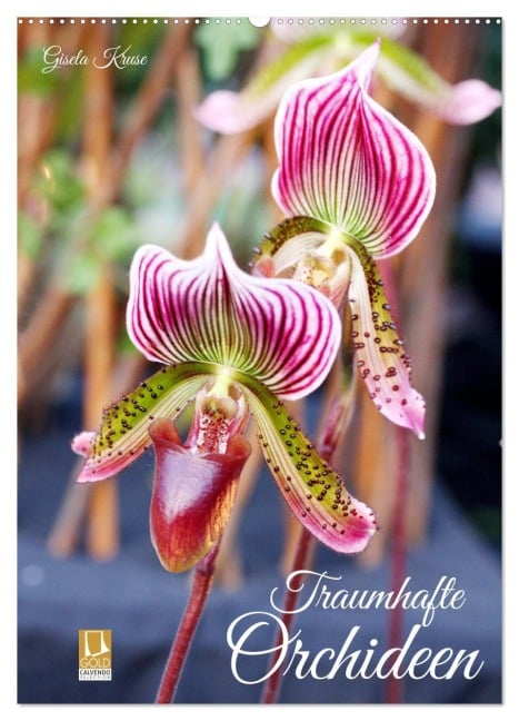Traumhafte Orchideen (Wandkalender 2026 DIN A2 hoch), CALVENDO Monatskalender - Gisela Kruse