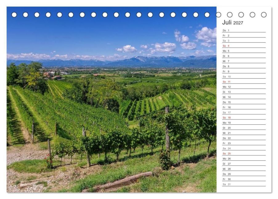 InsideView 12