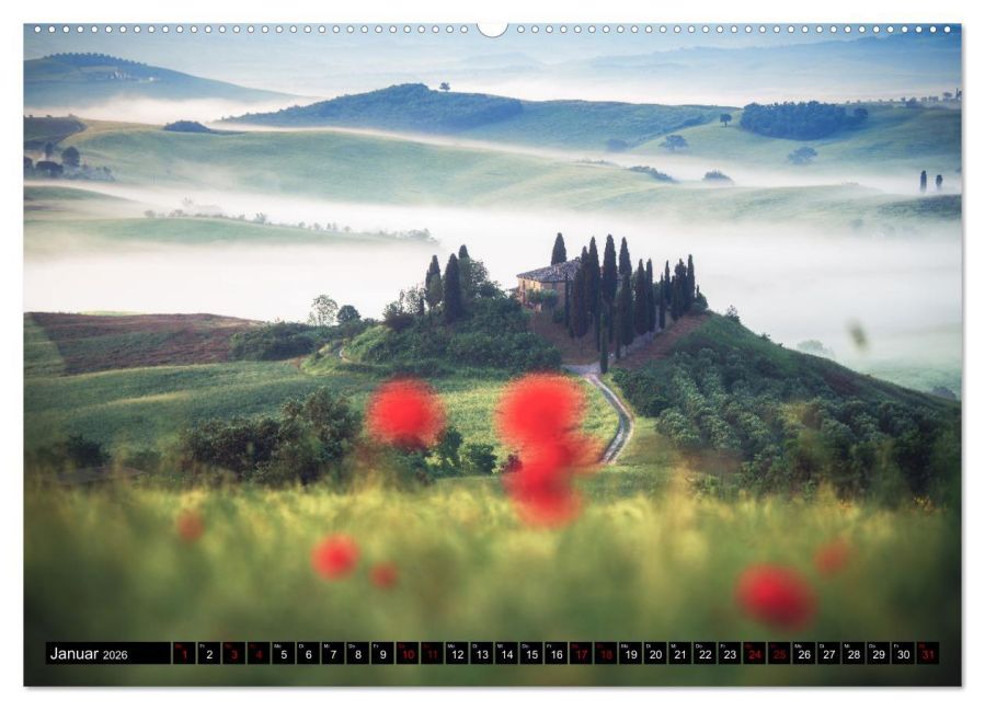 InsideView 5