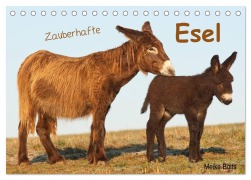 Zauberhafte Esel (Tischkalender 2026 DIN A5 quer), CALVENDO Monatskalender - Meike Bölts