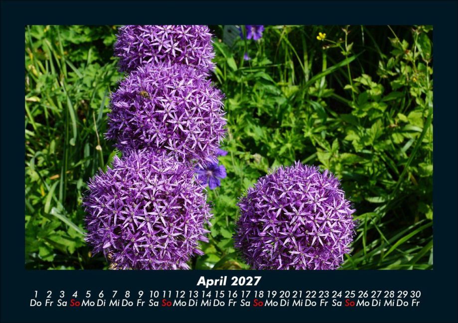 InsideView 8