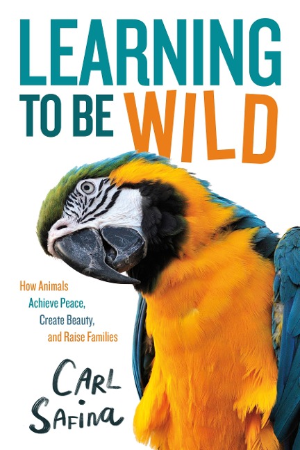 Learning to Be Wild (a Young Reader's Adaptation) - Carl Safina