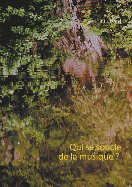 Qui se soucie de la musique ? - Benoît Luizard