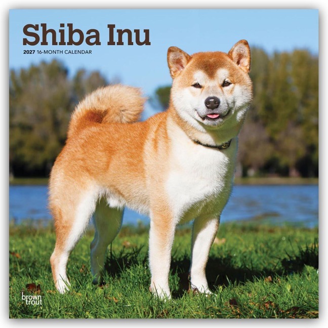 Shiba Inu - Shiba 2027 - 16-Monatskalender - Browntrout Publishers