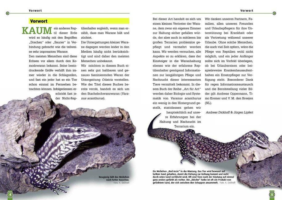 InsideView 1