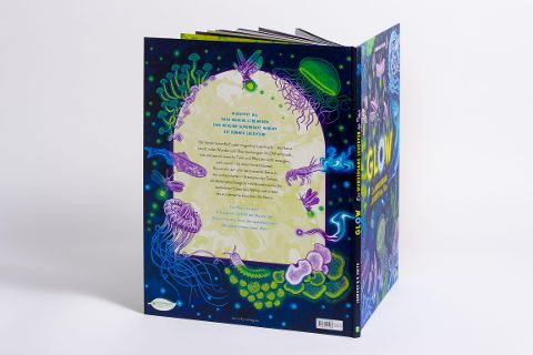 InsideView 3