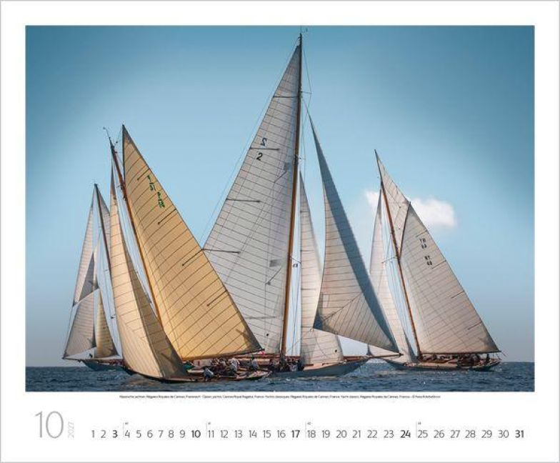 InsideView 10
