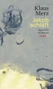 Cover-Bild zum Titel 'Jakob schläft' von 'Klaus Merz'