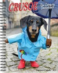 Crusoe the Celebrity Dachshund 2025 6.5 X 8.5 Engagement Calendar - 