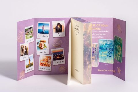 InsideView 6