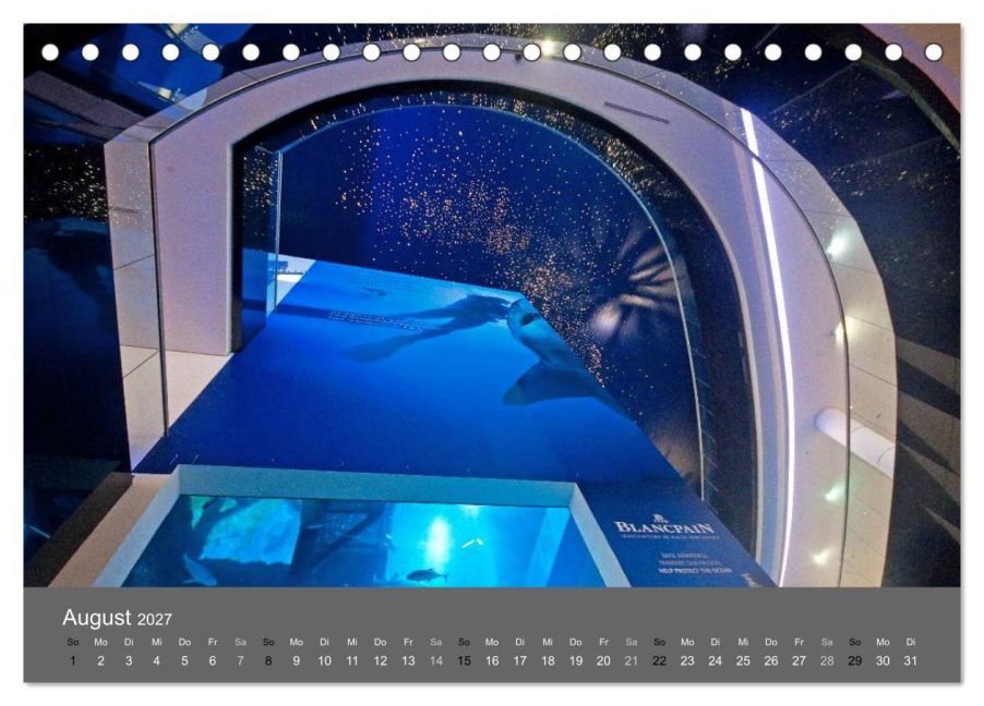 InsideView 13