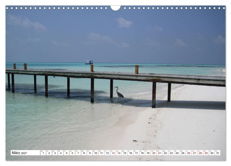 InsideView 8