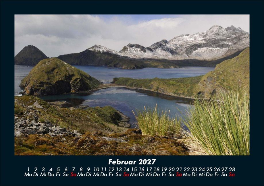 InsideView 6
