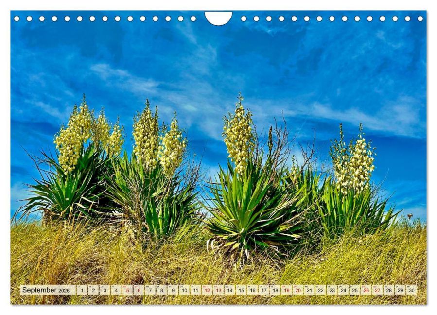InsideView 14