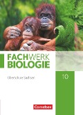 Fachwerk Biologie 10. Schuljahr - Sachsen - Schulbuch - 