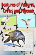 Cover-Bild zum Titel 'Features of Vultures, Crows and Pigeons' von 'Amrahs Hseham'