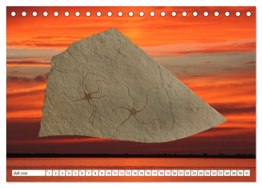 InsideView 12