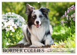 Cover-Bild zum Titel 'Border Collies - nicht nur schwarzweiß (Wandkalender 2026 DIN A2 quer), CALVENDO Monatskalender' von 'Judith Kiener - DoraZett'