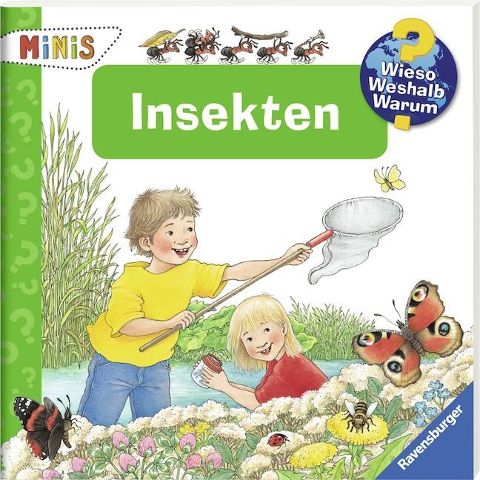 InsideView 5