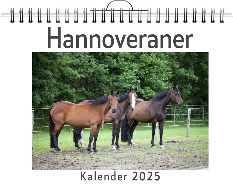 Hannoveraner - Elias Vogel