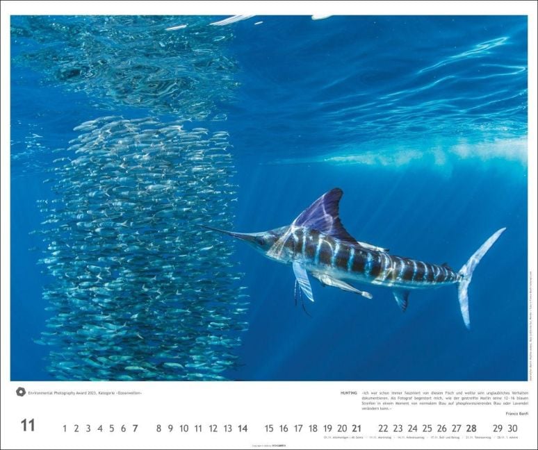 InsideView 11