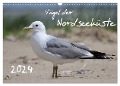 Vögel der Nordseeküste (Wandkalender 2024 DIN A3 quer), CALVENDO Monatskalender - Jan Allnoch