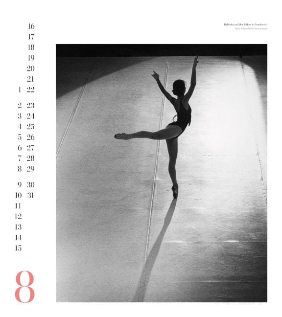 InsideView 8