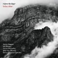 Cover-Bild zum Titel 'Induuchlen' von 'Heinz/Swiss Chamber Soloists Holliger'