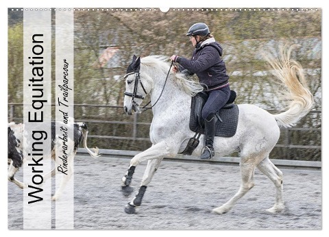 Working Equitation (Wandkalender 2025 DIN A2 quer), CALVENDO Monatskalender - Marion Sixt