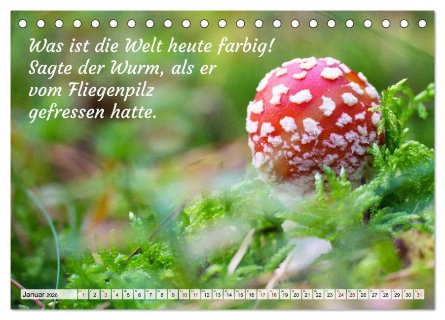 InsideView 6
