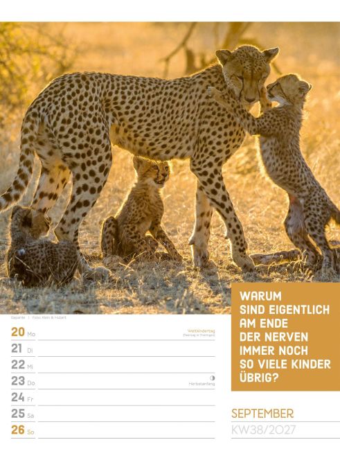 InsideView 42