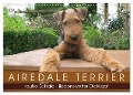 Airedale Terrier (Wandkalender 2025 DIN A3 quer), CALVENDO Monatskalender - Gaby Rottmann