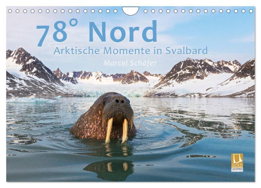 78° Nord - Arktische Momente in Svalbard (Wandkalender 2027 DIN A4 quer), CALVENDO Monatskalender - Marcel Schäfer