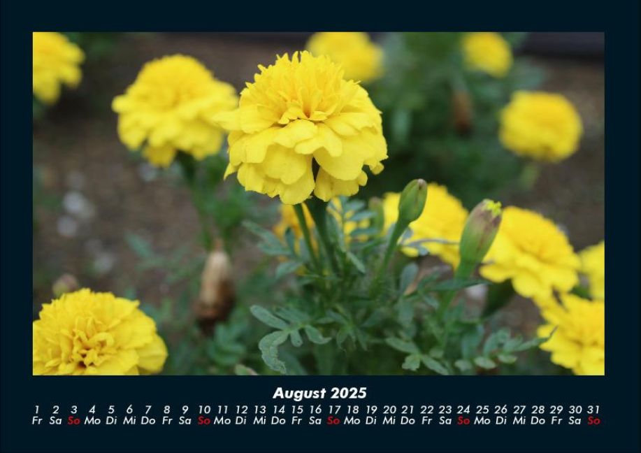 InsideView 12
