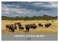 American Wildlife (Wandkalender 2024 DIN A2 quer), CALVENDO Monatskalender - Christian Heeb