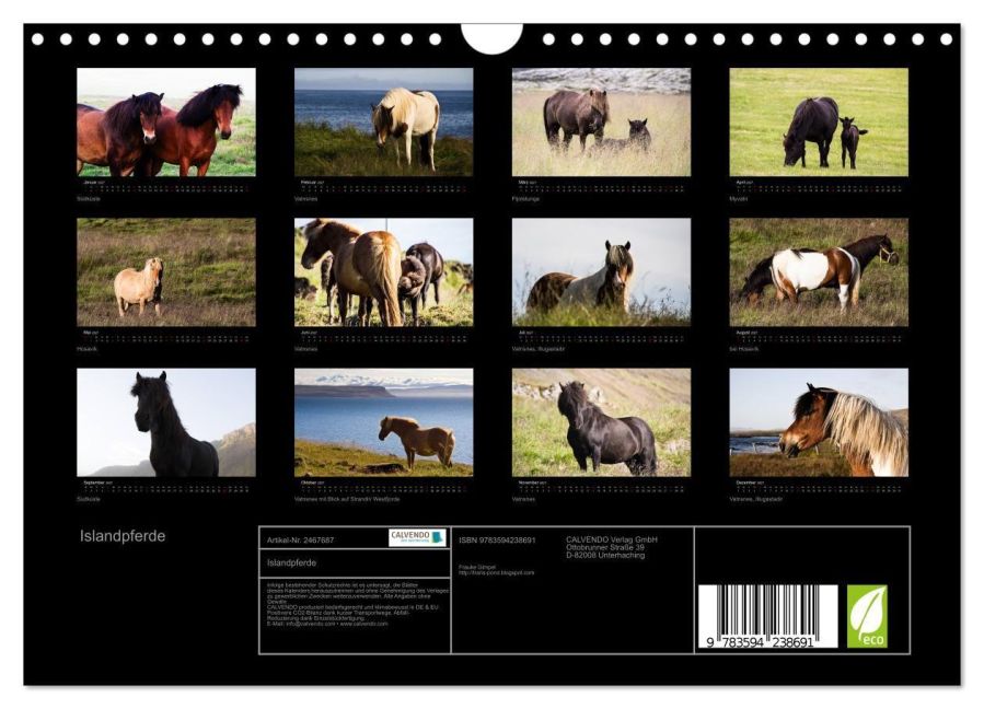InsideView 5
