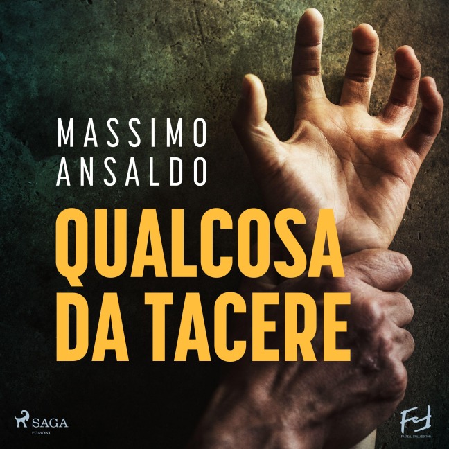 Qualcosa da tacere - Massimo Ansaldo