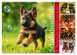 Schäferhundliebe - Deine tägliche Dosis Welpenfreude - ganz ohne Gassi. (Wandkalender 2026 DIN A2 quer), CALVENDO Monatskalender - Fred Schimak