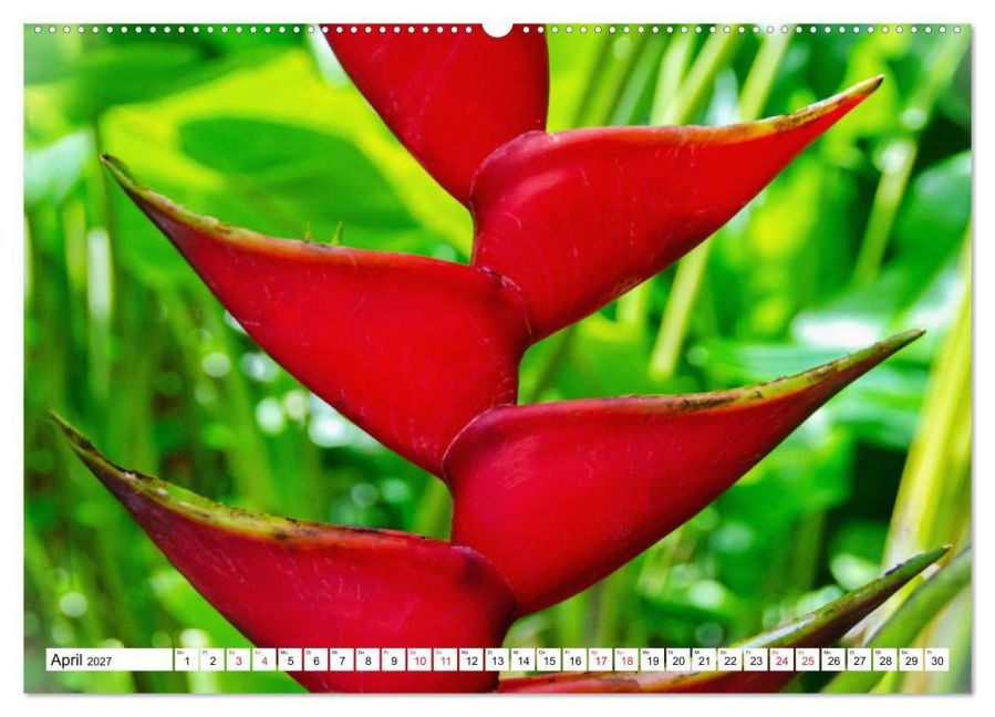 InsideView 9