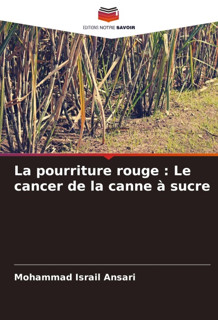 La pourriture rouge : Le cancer de la canne à sucre - Mohammad Israil Ansari