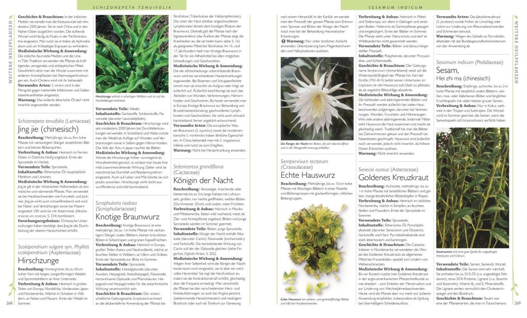 InsideView 7