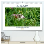 Cover-Bild zum Titel 'Atelerix - Afrikanische Weißbauchigel (hochwertiger Premium Wandkalender 2026 DIN A2 quer), Kunstdruck in Hochglanz' von 'Marina Zimmermann'