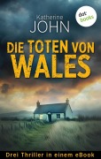 Cover-Bild zum Titel 'Die Toten von Wales' von 'Katherine John'