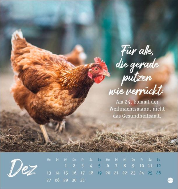 InsideView 12