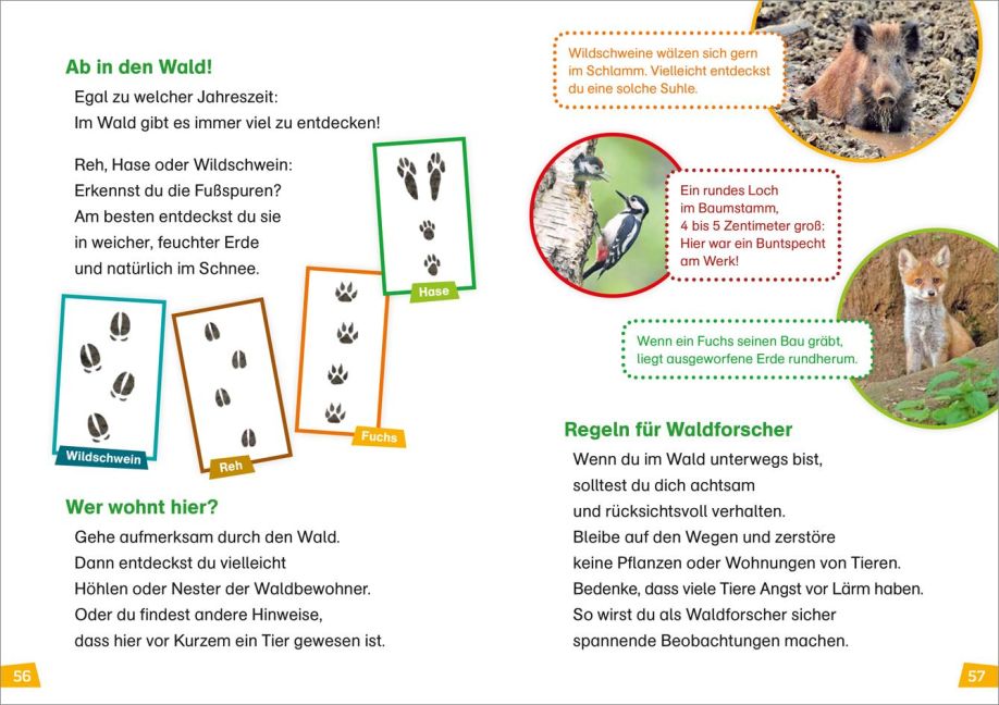 InsideView 7