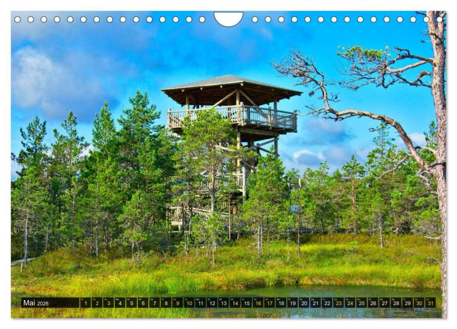InsideView 10