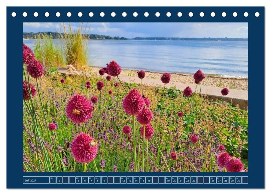 InsideView 12